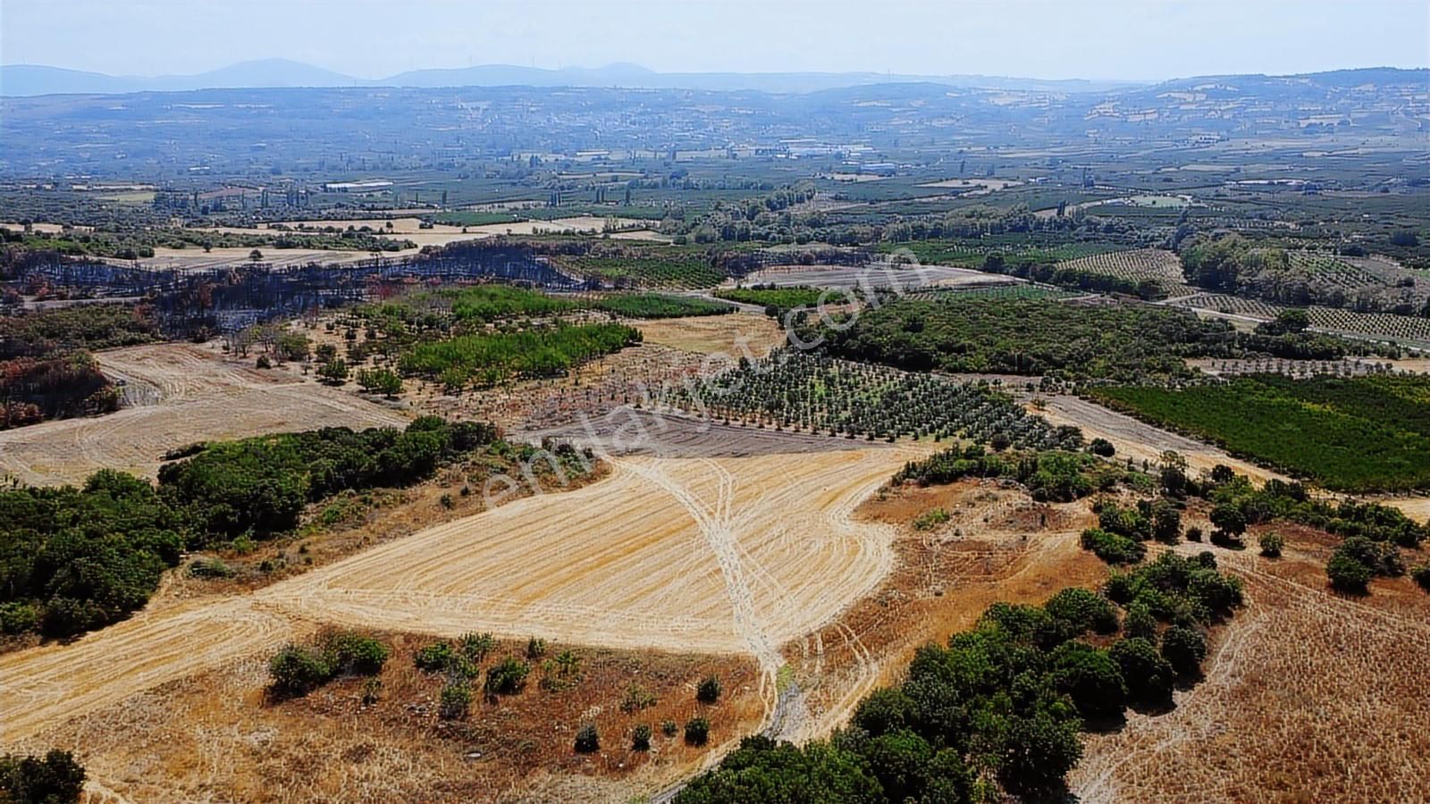 Çanakkale Lapseki Umurbey Satılık Tarla - Görsel 4