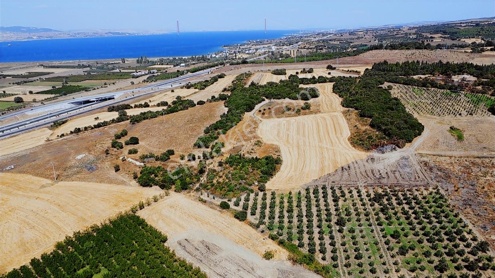 Çanakkale Lapseki Umurbey Satılık Tarla - Görsel 24