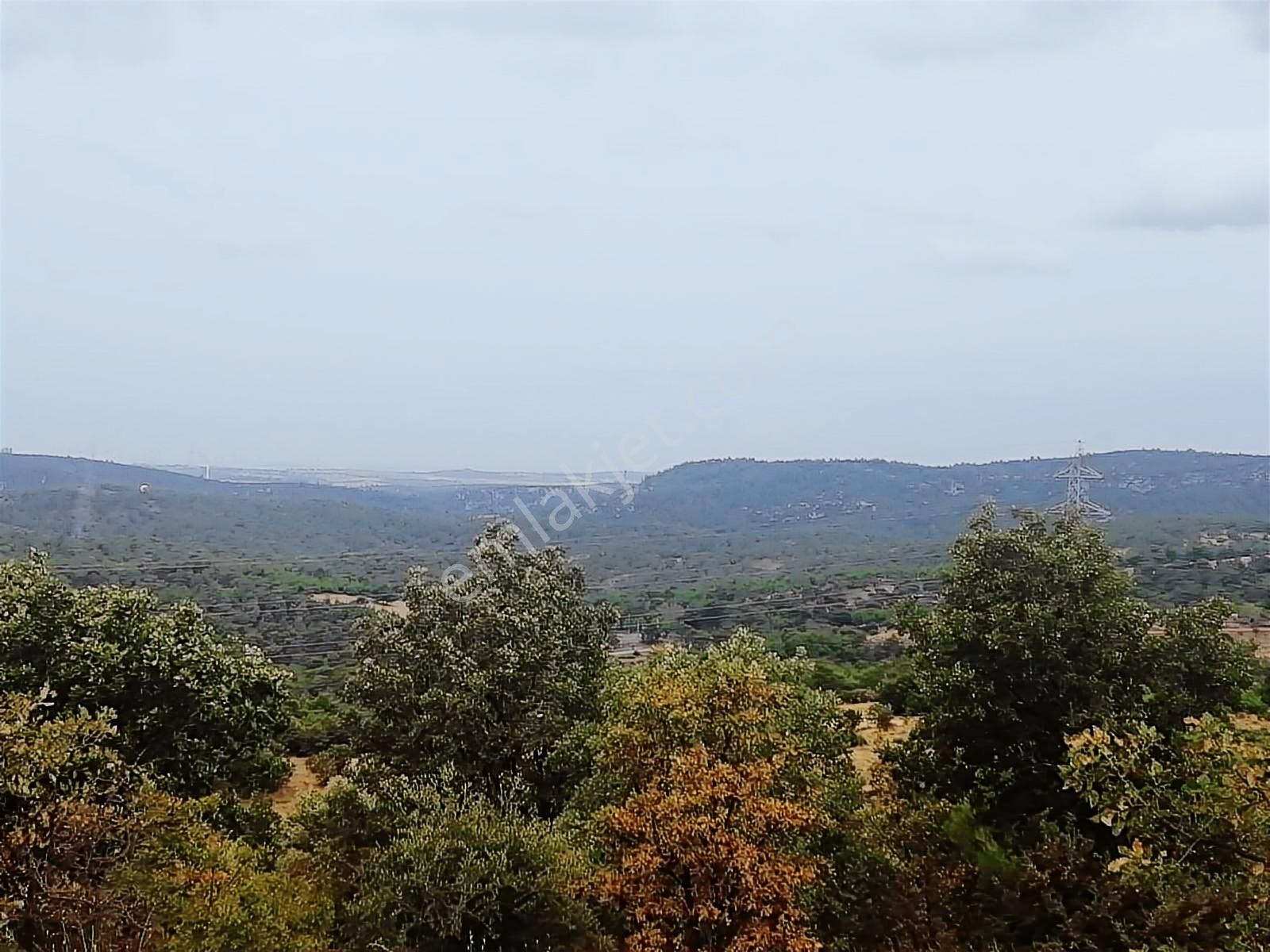 Çanakkale Ezine Köprübaşı Satılık Tarla - Görsel 18