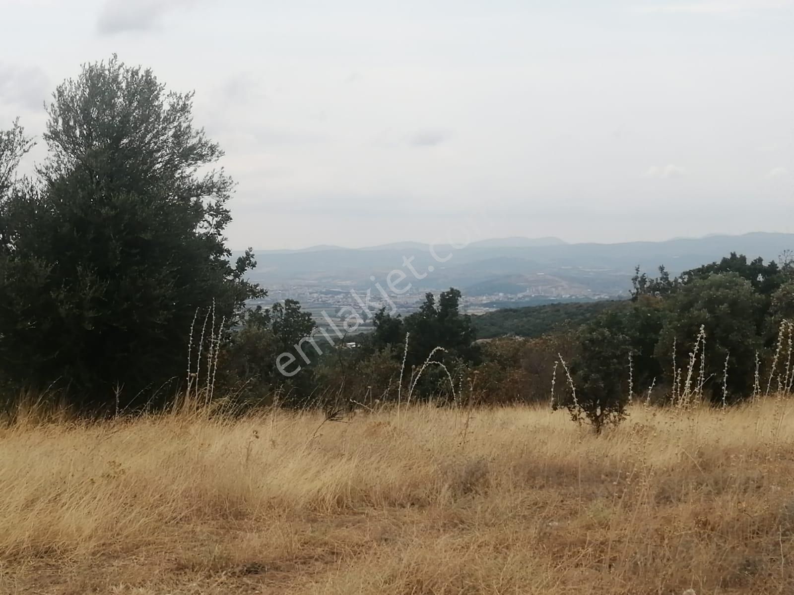 Çanakkale Ezine Köprübaşı Satılık Tarla - Görsel 21