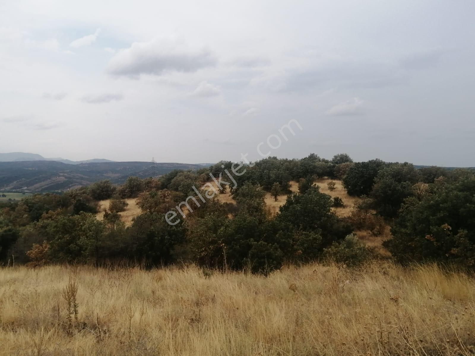 Çanakkale Ezine Köprübaşı Satılık Tarla - Görsel 8