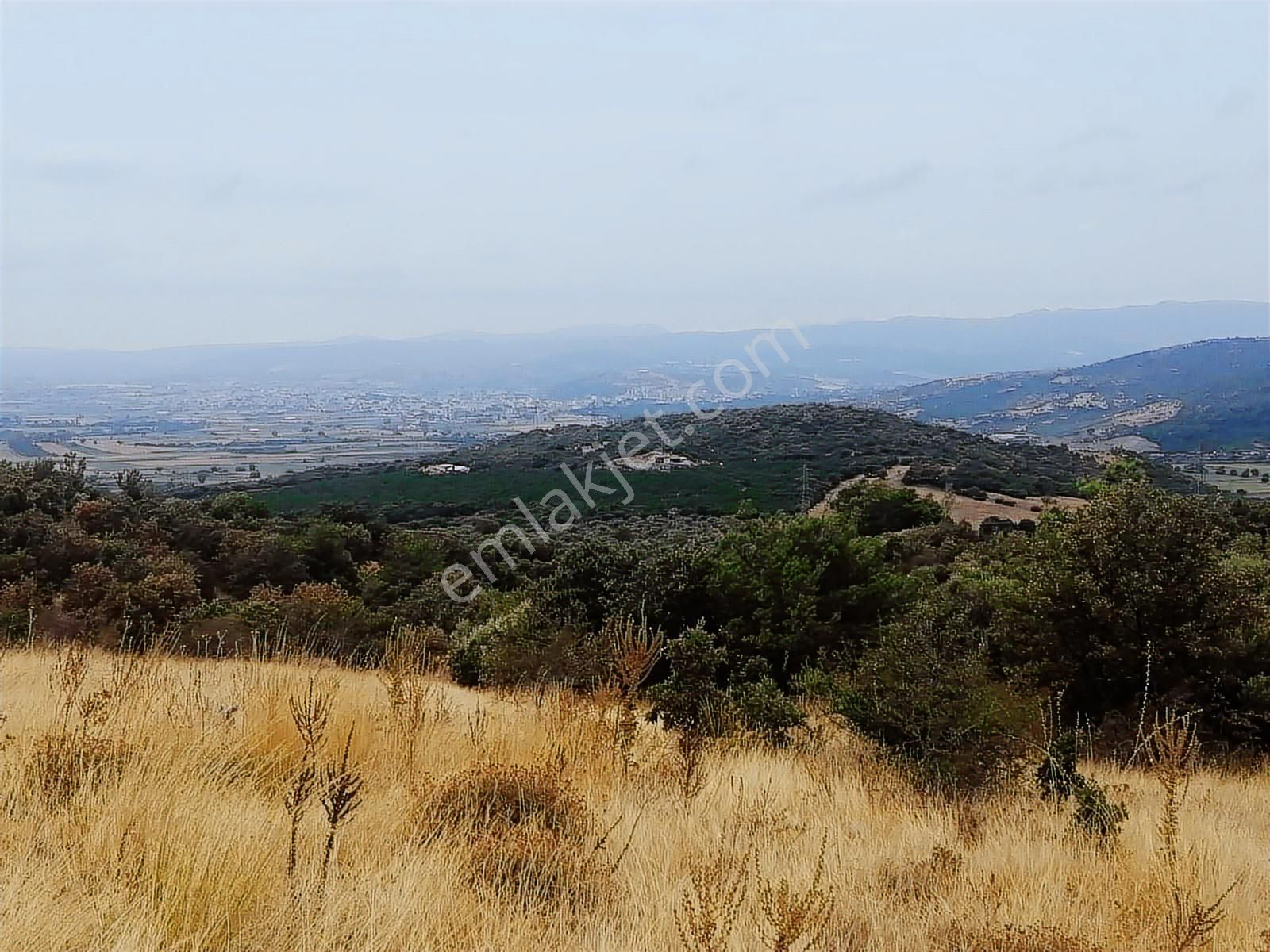 Çanakkale Ezine Köprübaşı Satılık Tarla - Görsel 22