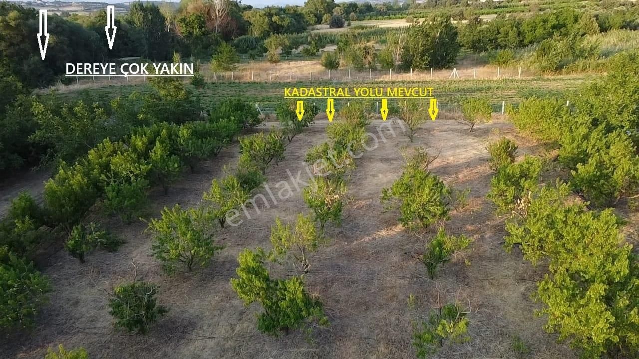 Çanakkale Bayramiç Satılık 3 Dönüm Tarla - Görsel 26