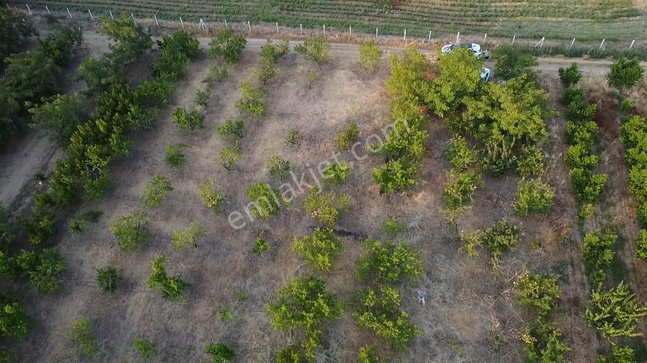 Çanakkale Bayramiç Satılık 3 Dönüm Tarla - Görsel 12