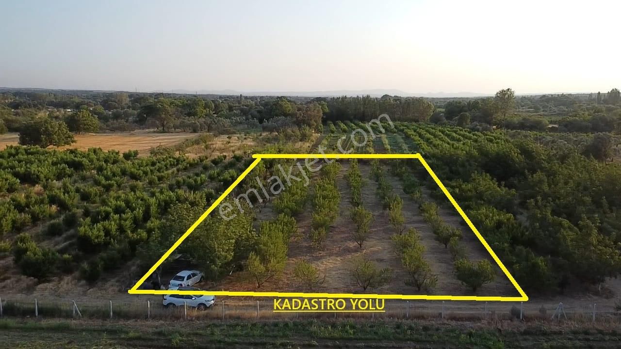 Çanakkale Bayramiç Satılık 3 Dönüm Tarla - Görsel 14