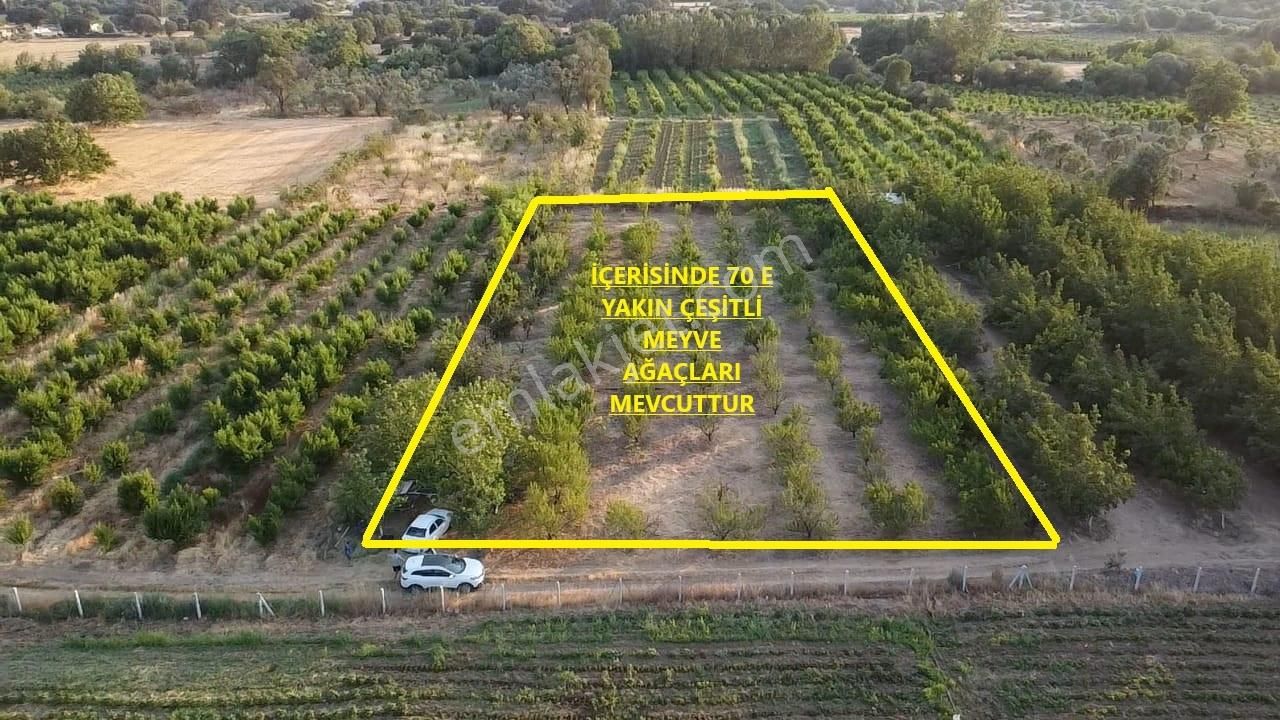 Çanakkale Bayramiç Satılık 3 Dönüm Tarla - Görsel 2