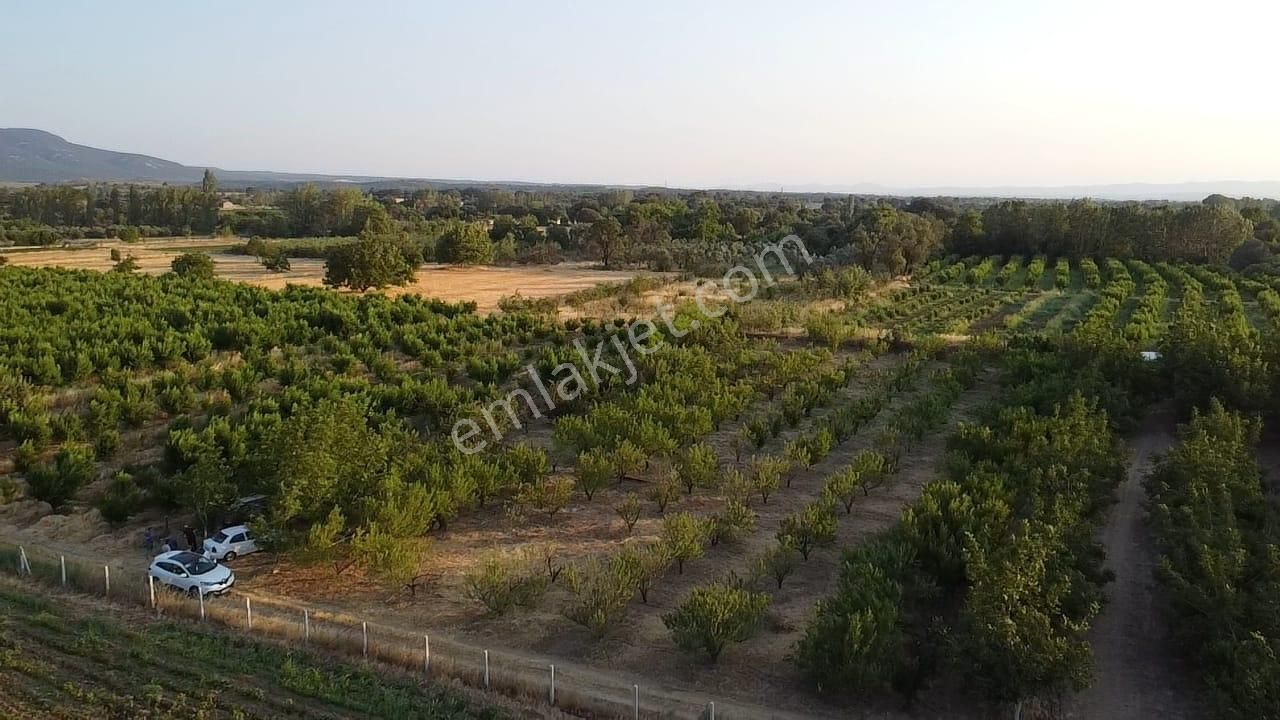 Çanakkale Bayramiç Satılık 3 Dönüm Tarla - Görsel 20