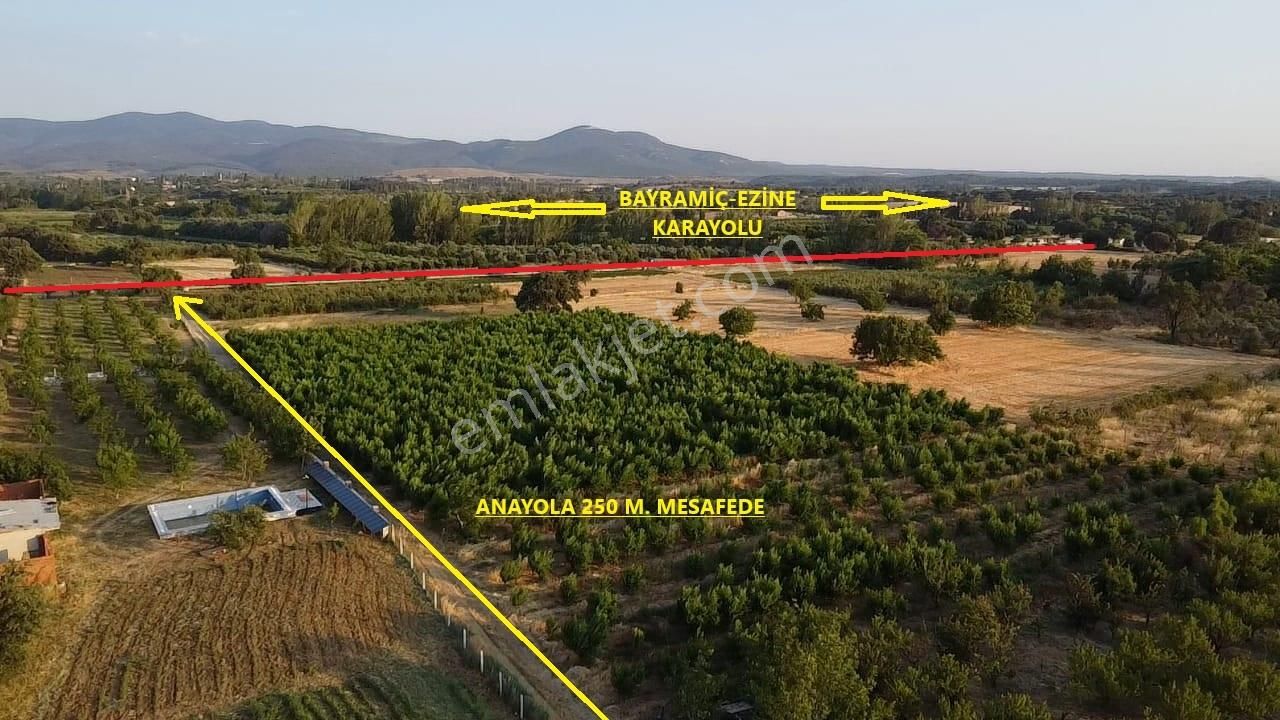 Çanakkale Bayramiç Satılık 3 Dönüm Tarla - Görsel 5