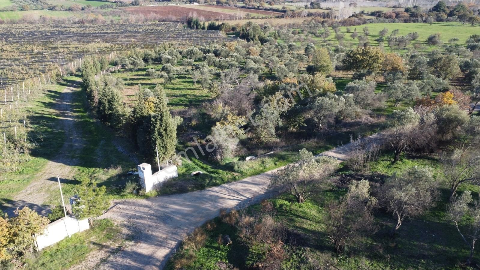 Çanakkale Merkez Bayramiç Ahmetçeli Yatırım Ve Arazi - Görsel 27