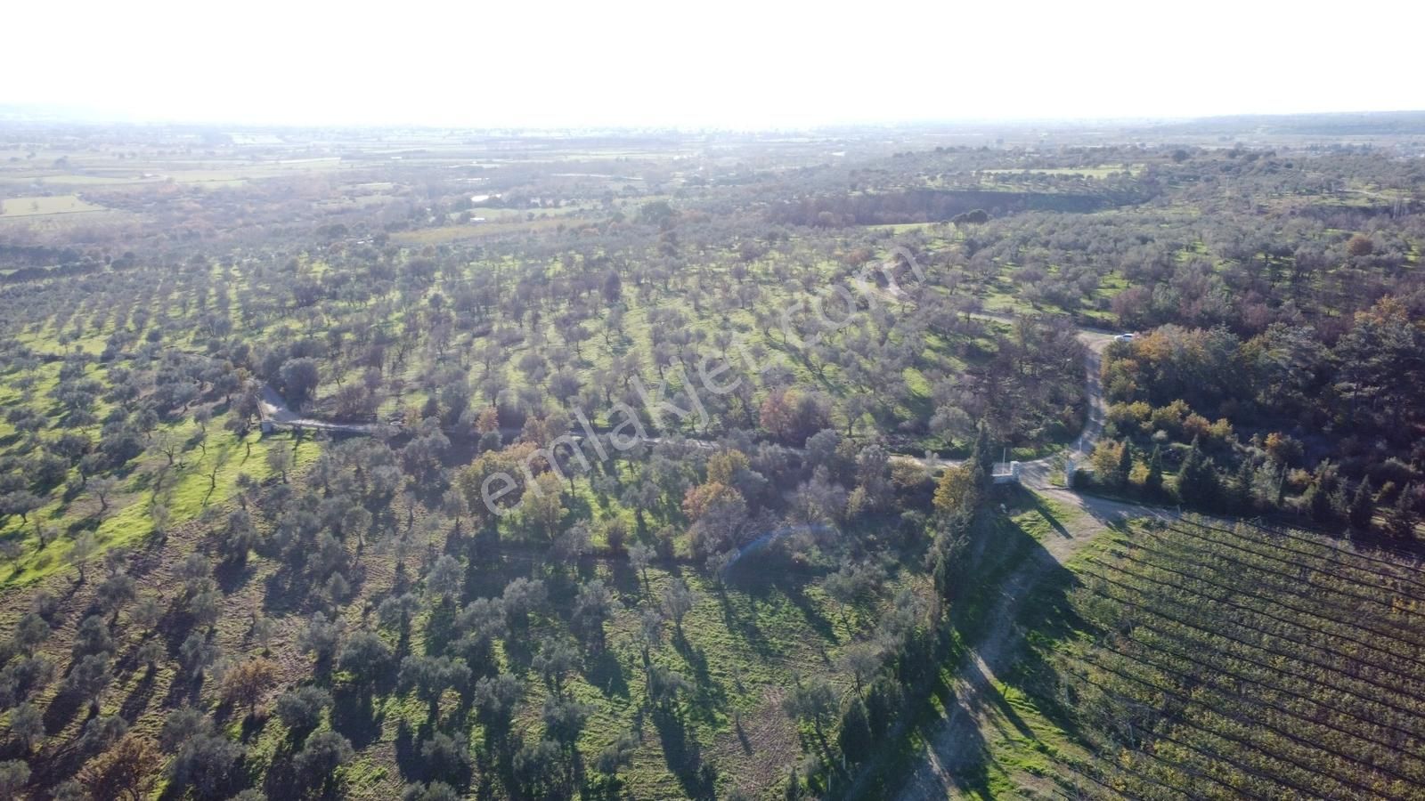 Çanakkale Merkez Bayramiç Ahmetçeli Yatırım Ve Arazi - Görsel 16