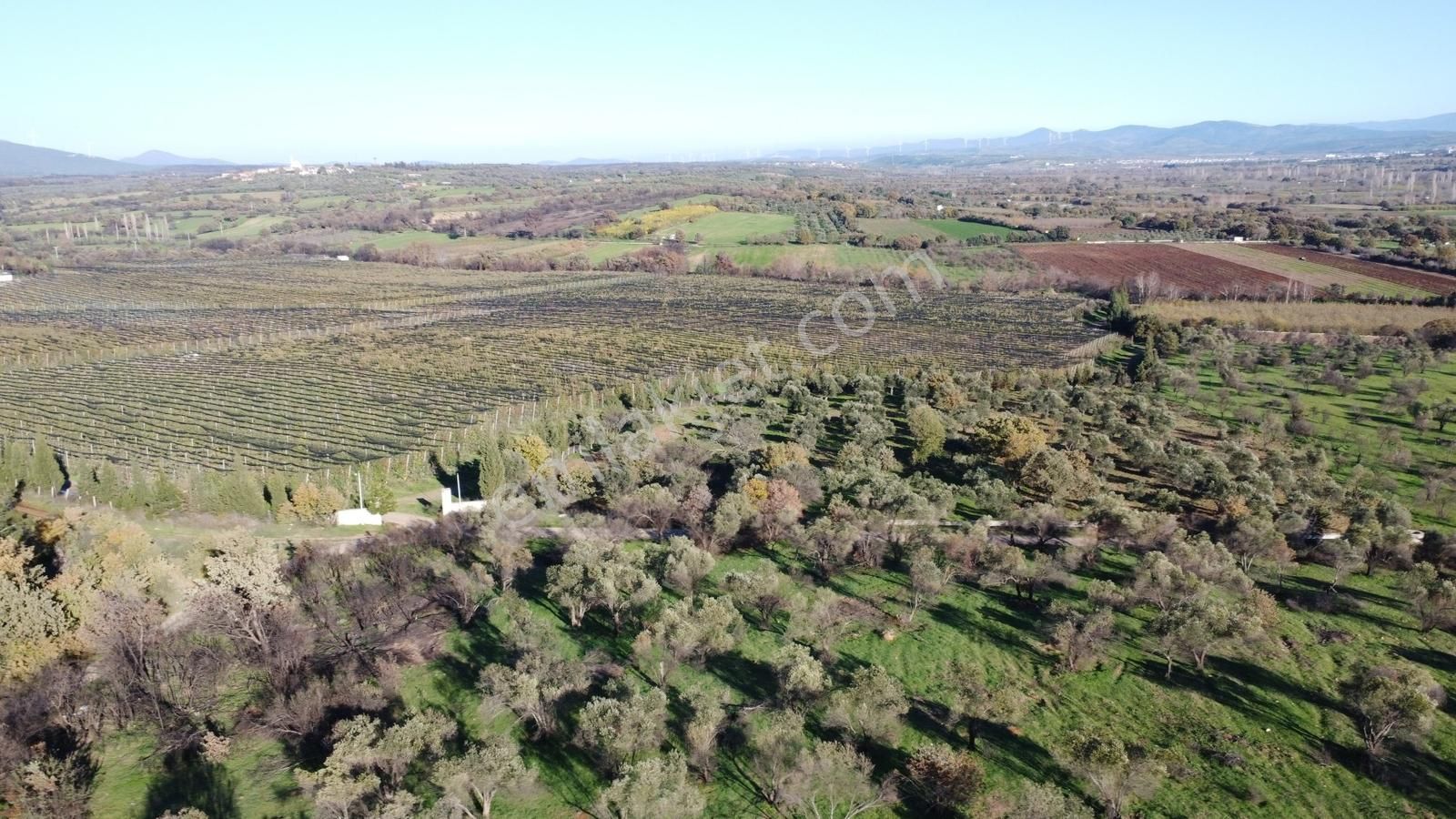 Çanakkale Merkez Bayramiç Ahmetçeli Yatırım Ve Arazi - Görsel 13