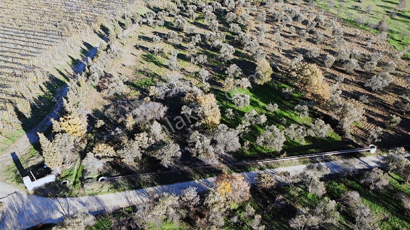 Çanakkale Merkez Bayramiç Ahmetçeli Yatırım Ve Arazi - Görsel 30