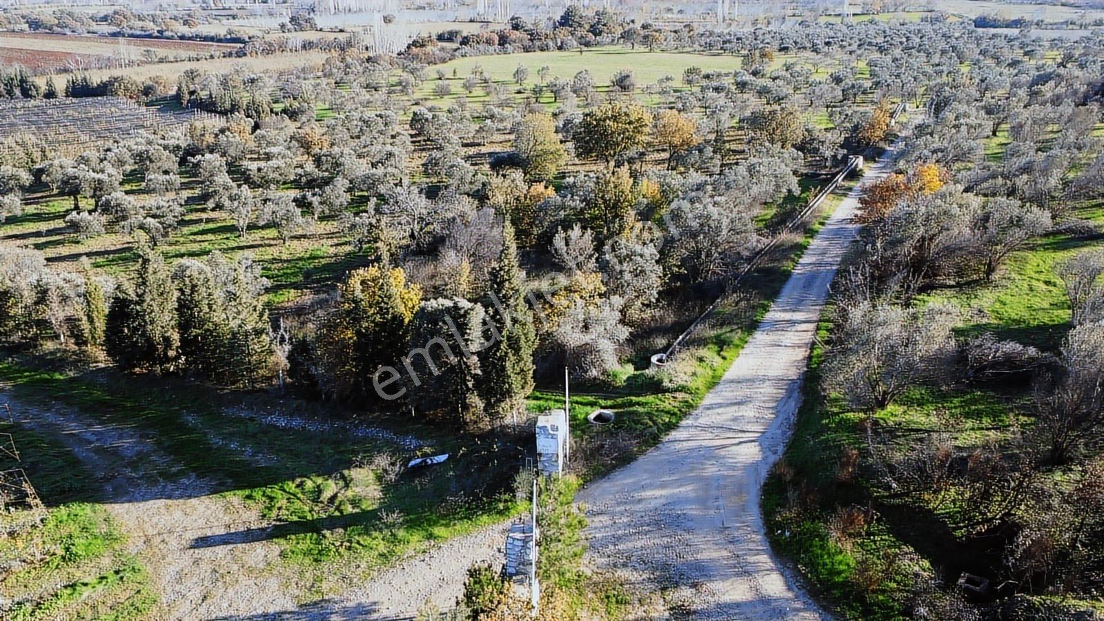 Çanakkale Merkez Bayramiç Ahmetçeli Yatırım Ve Arazi - Görsel 10