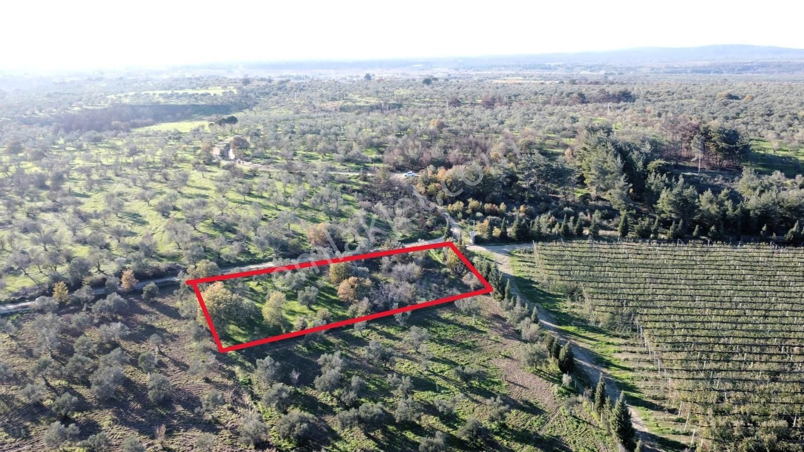 Çanakkale Merkez Bayramiç Ahmetçeli Yatırım Ve Arazi - Görsel 5