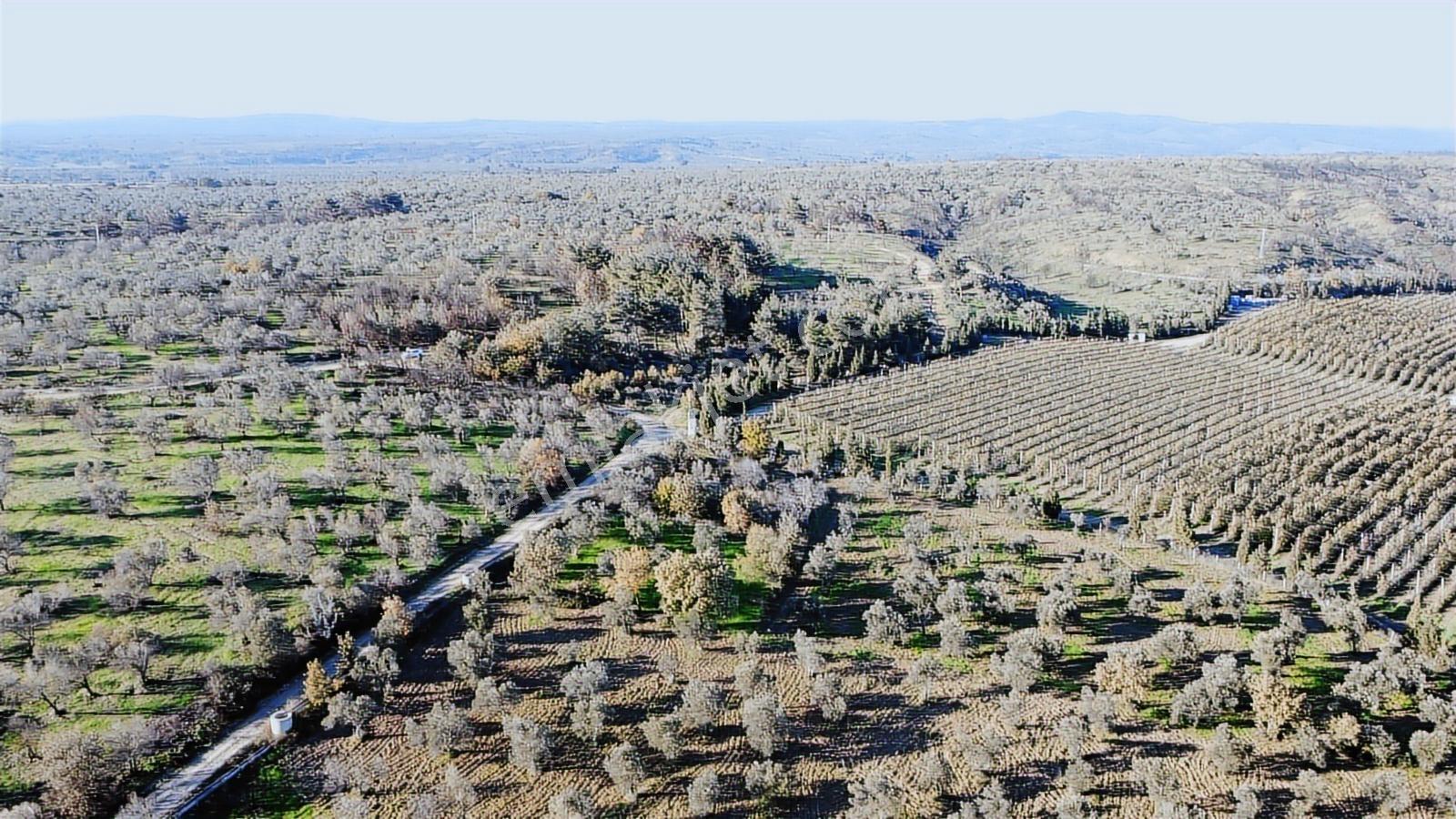 Çanakkale Merkez Bayramiç Ahmetçeli Yatırım Ve Arazi - Görsel 4