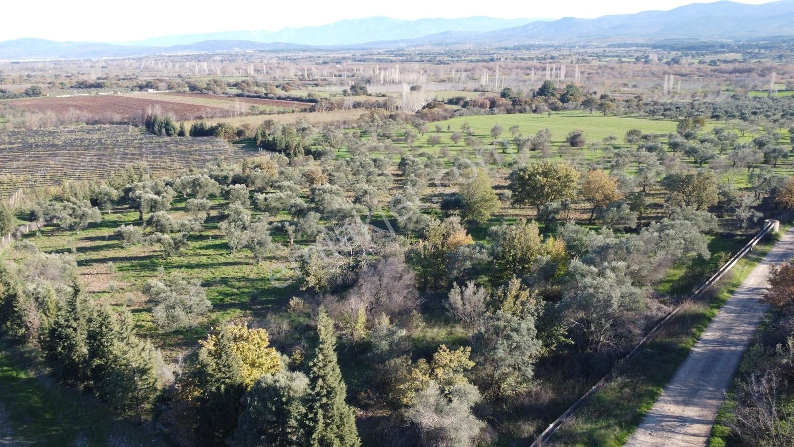 Çanakkale Merkez Bayramiç Ahmetçeli Yatırım Ve Arazi - Görsel 12