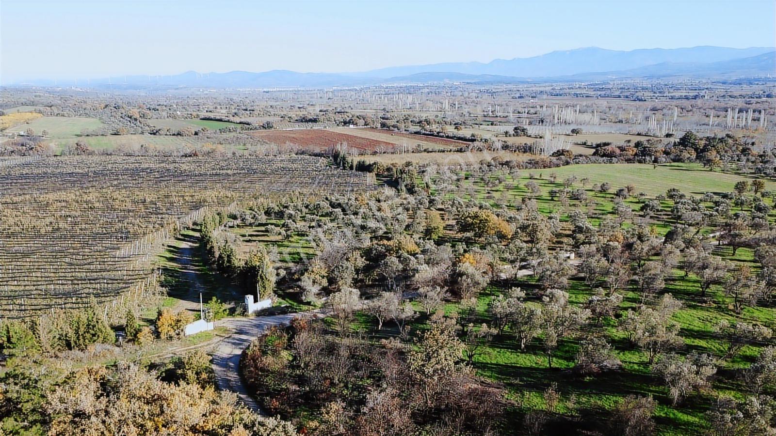 Çanakkale Merkez Bayramiç Ahmetçeli Yatırım Ve Arazi - Görsel 17