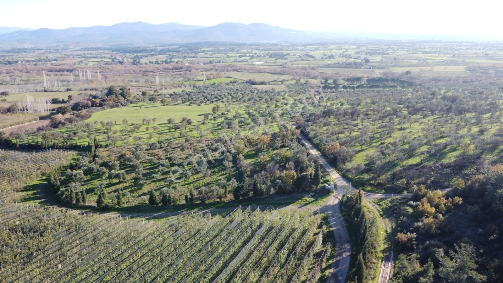 Çanakkale Merkez Bayramiç Ahmetçeli Yatırım Ve Arazi - Görsel 28