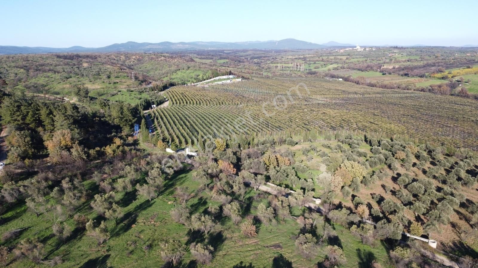 Çanakkale Merkez Bayramiç Ahmetçeli Yatırım Ve Arazi - Görsel 24