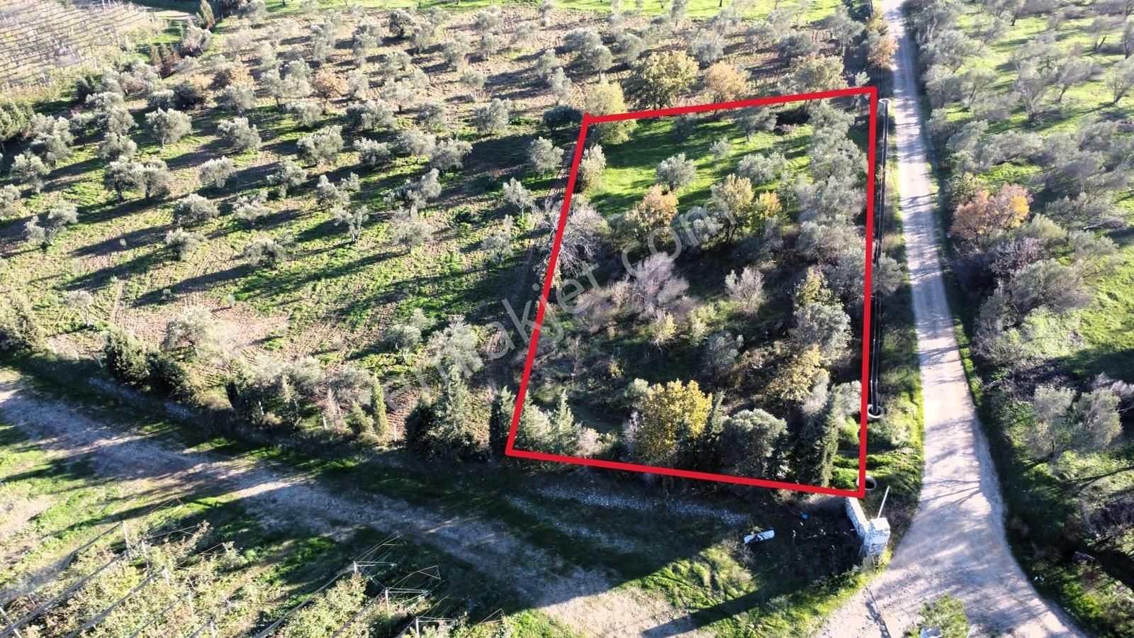 Çanakkale Merkez Bayramiç Ahmetçeli Yatırım Ve Arazi - Görsel 18