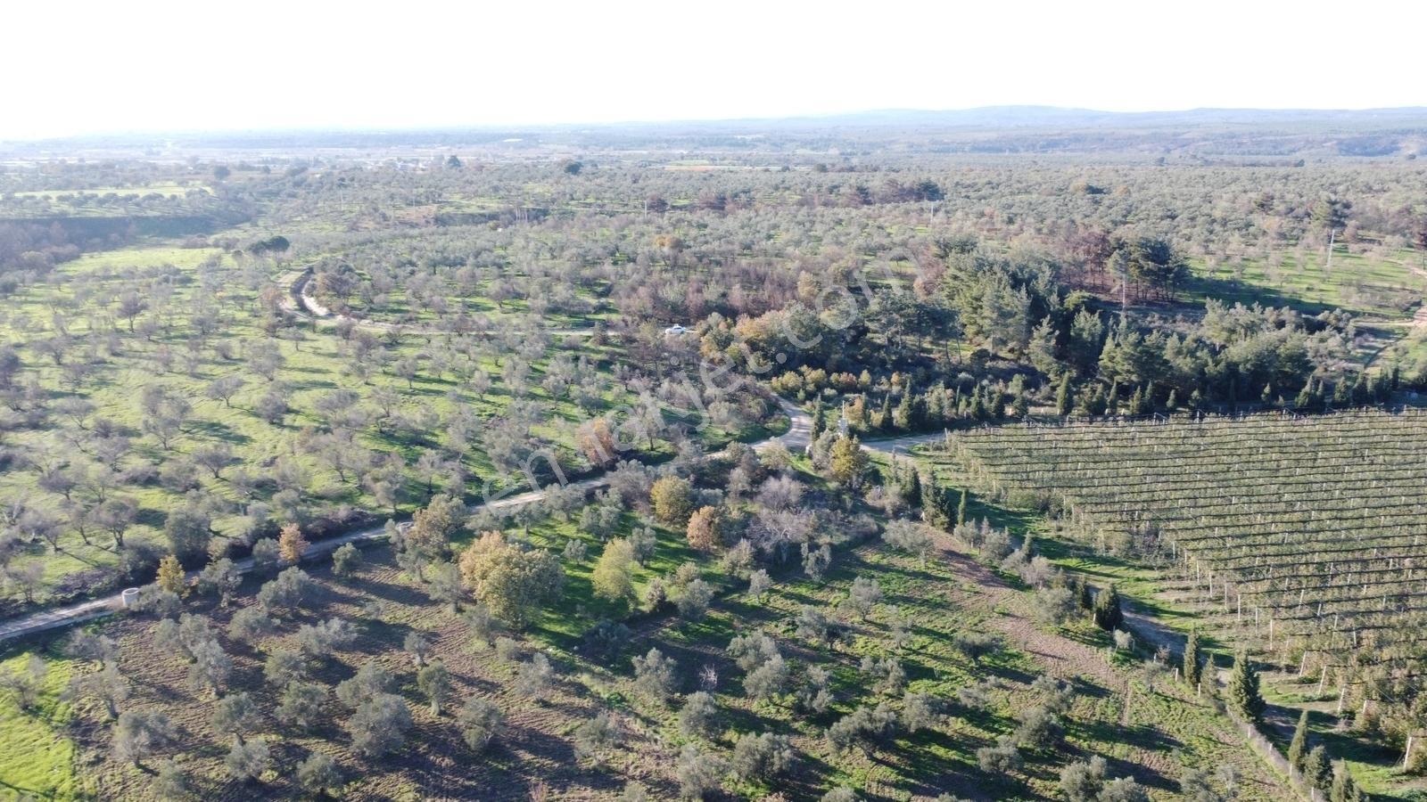 Çanakkale Merkez Bayramiç Ahmetçeli Yatırım Ve Arazi - Görsel 24
