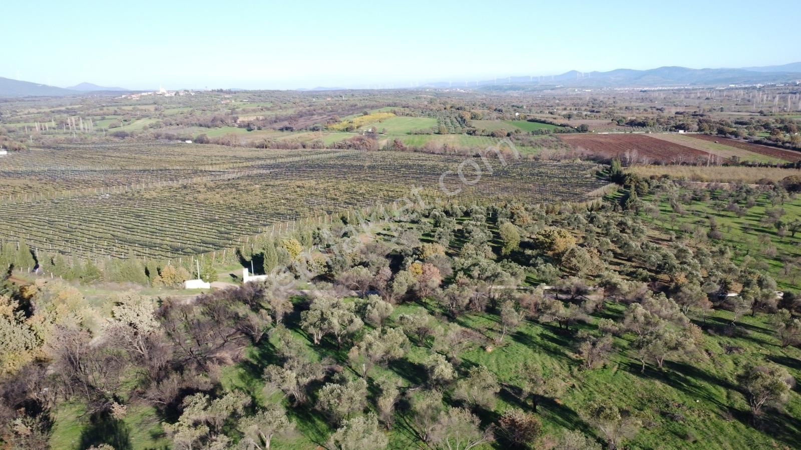 Çanakkale Merkez Bayramiç Ahmetçeli Yatırım Ve Arazi - Görsel 18