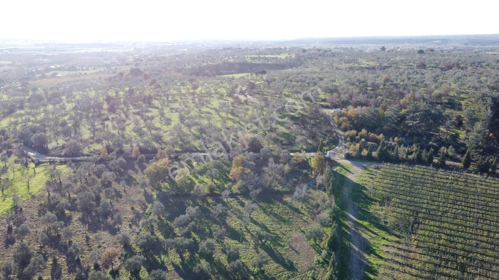 Çanakkale Merkez Bayramiç Ahmetçeli Yatırım Ve Arazi - Görsel 22