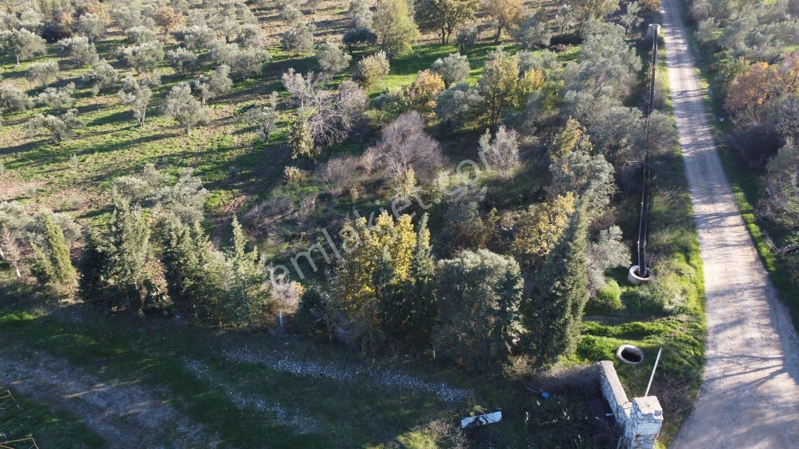 Çanakkale Merkez Bayramiç Ahmetçeli Yatırım Ve Arazi - Görsel 15