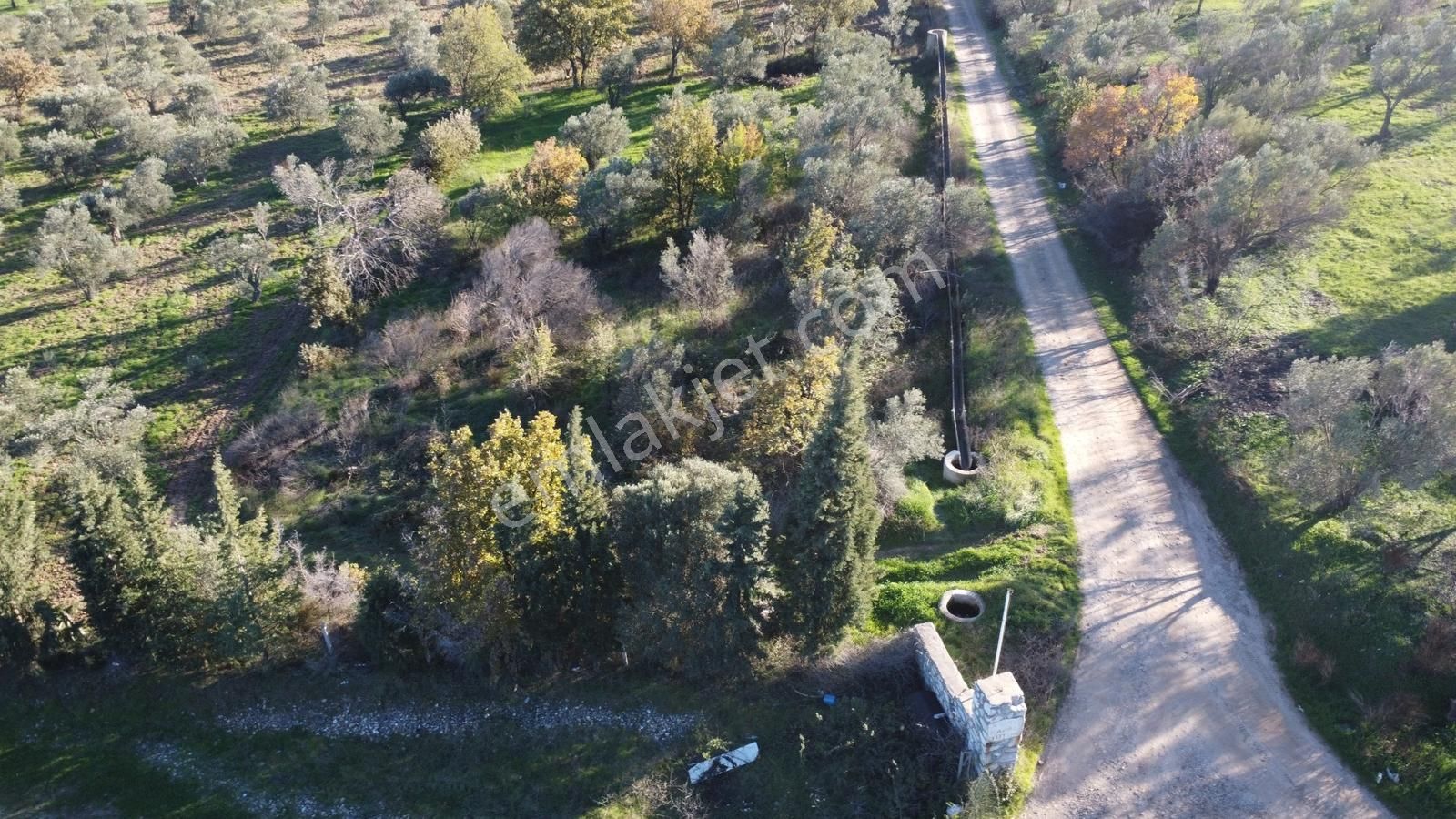 Çanakkale Merkez Bayramiç Ahmetçeli Yatırım Ve Arazi - Görsel 32