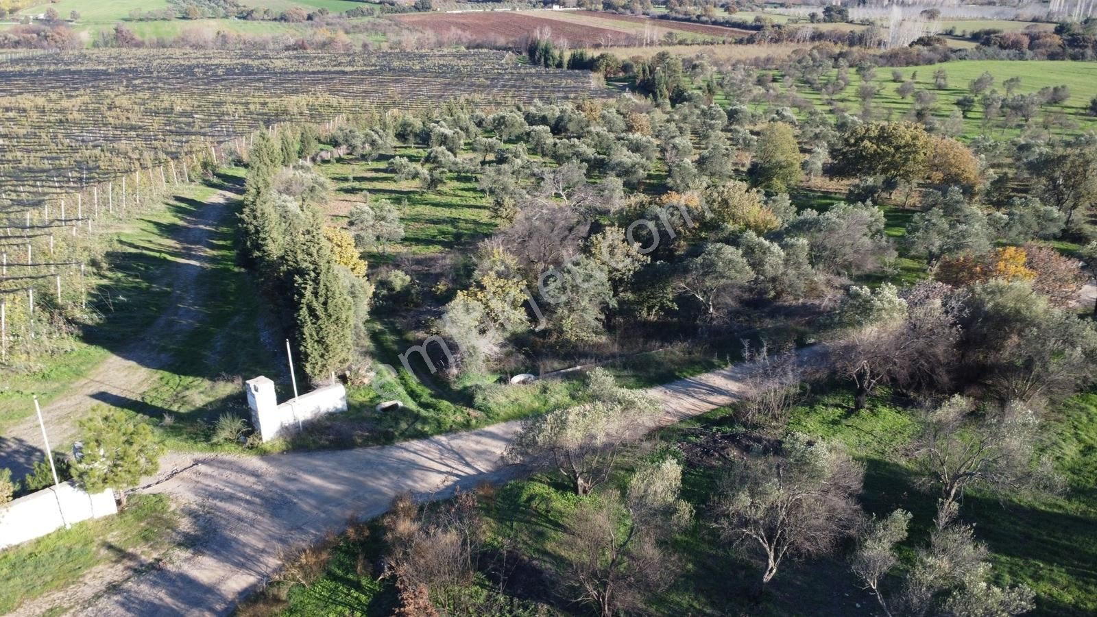 Çanakkale Merkez Bayramiç Ahmetçeli Yatırım Ve Arazi - Görsel 2