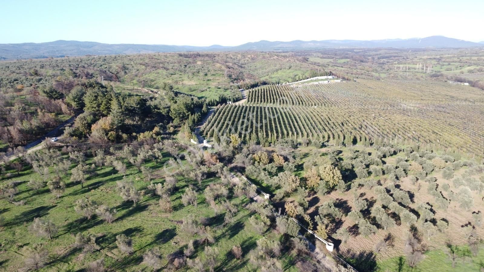 Çanakkale Merkez Bayramiç Ahmetçeli Yatırım Ve Arazi - Görsel 4