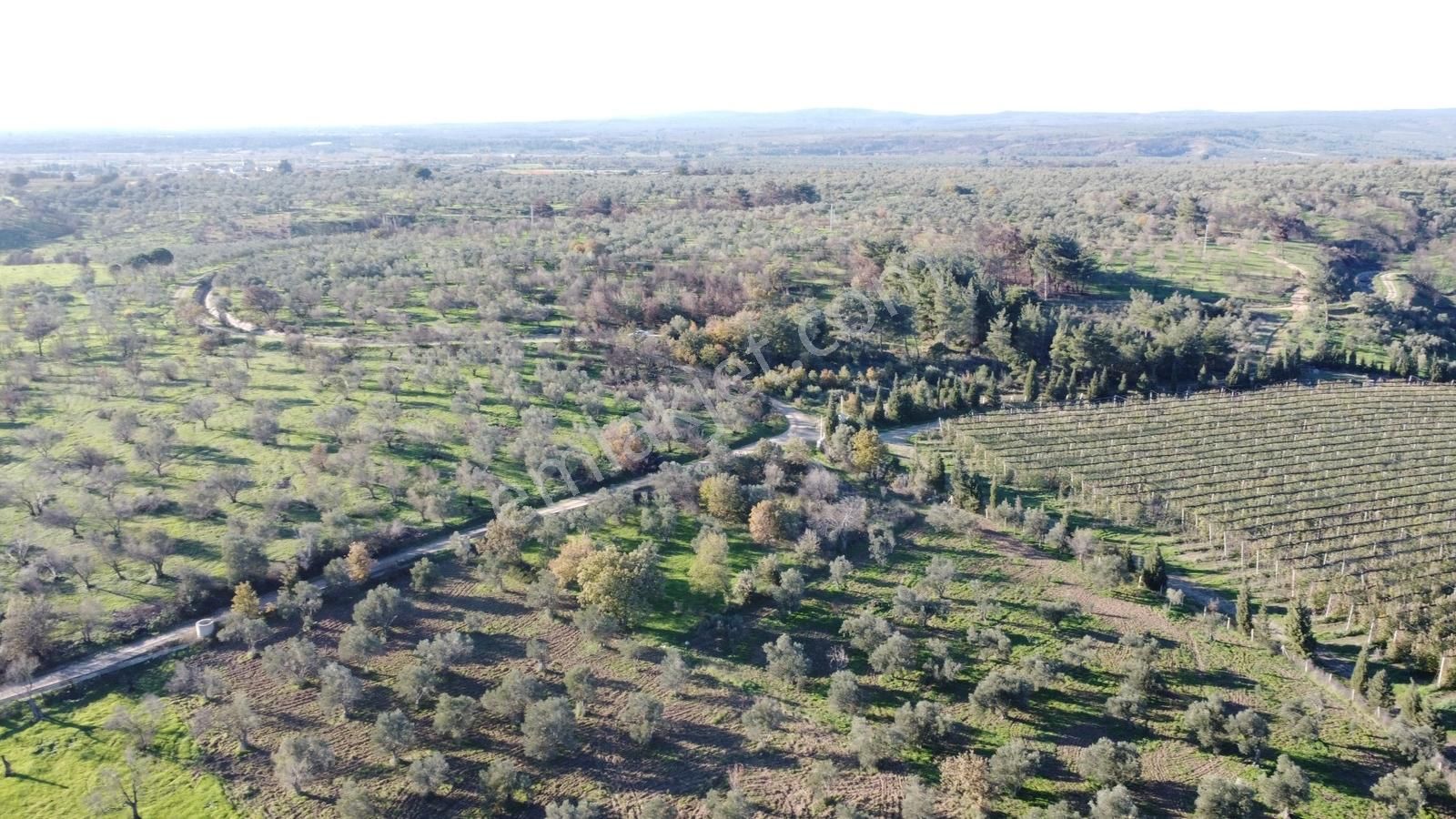 Çanakkale Merkez Bayramiç Ahmetçeli Yatırım Ve Arazi - Görsel 6