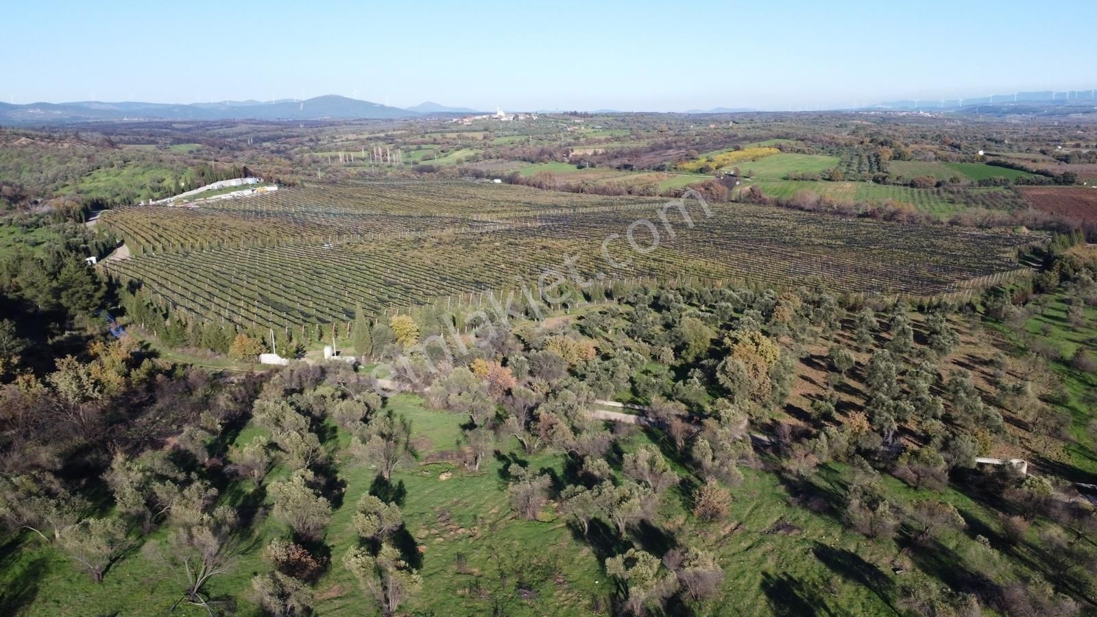 Çanakkale Merkez Bayramiç Ahmetçeli Yatırım Ve Arazi - Görsel 8