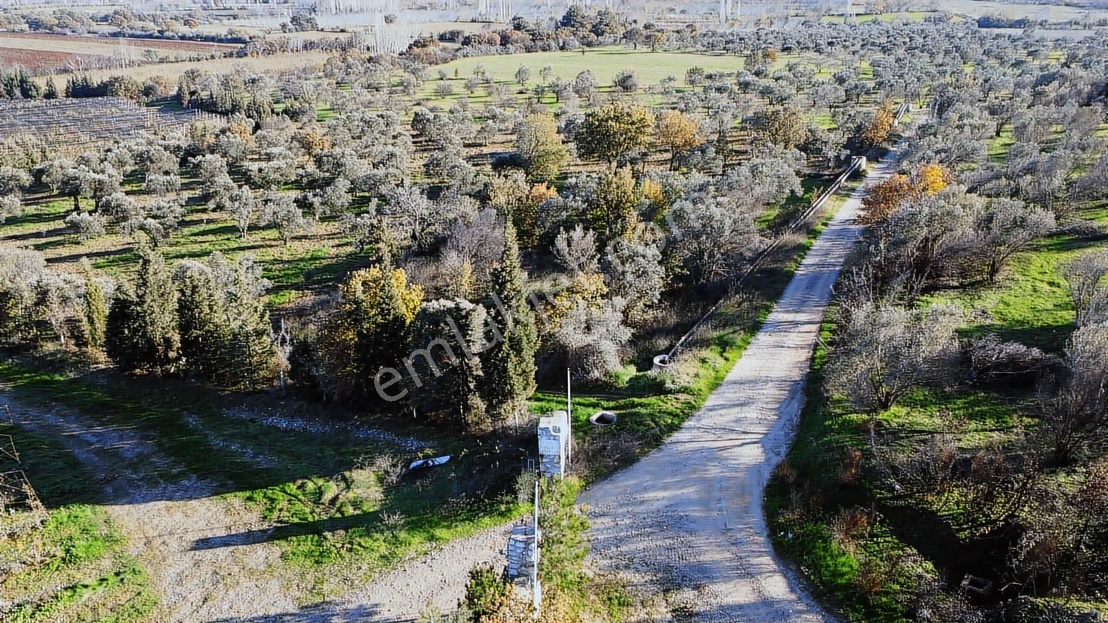Çanakkale Merkez Bayramiç Ahmetçeli Yatırım Ve Arazi - Görsel 14