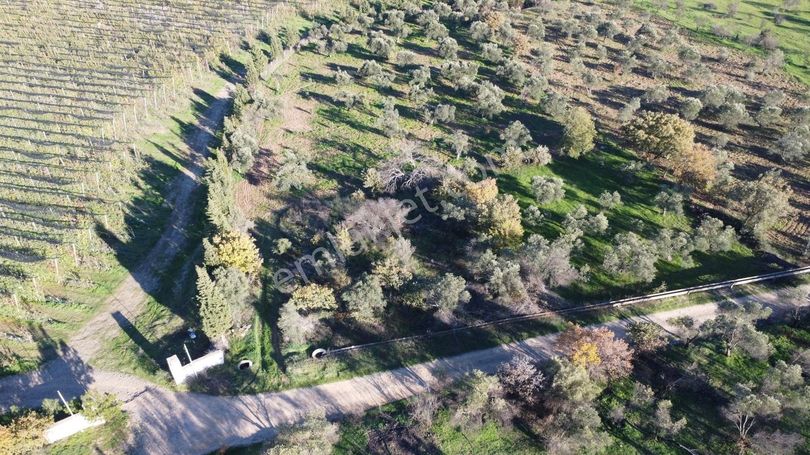 Çanakkale Merkez Bayramiç Ahmetçeli Yatırım Ve Arazi - Görsel 8