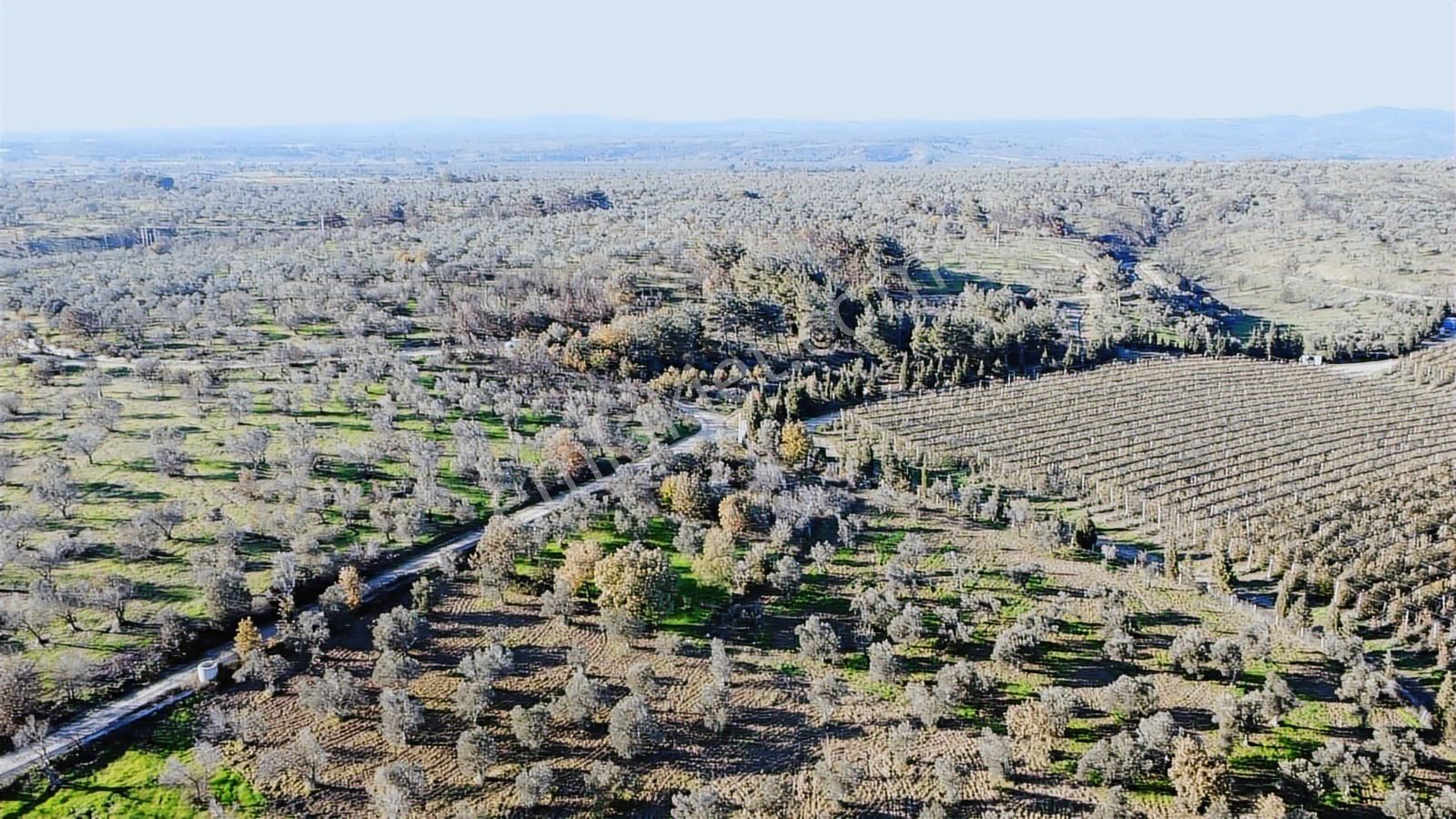 Çanakkale Merkez Bayramiç Ahmetçeli Yatırım Ve Arazi - Görsel 31