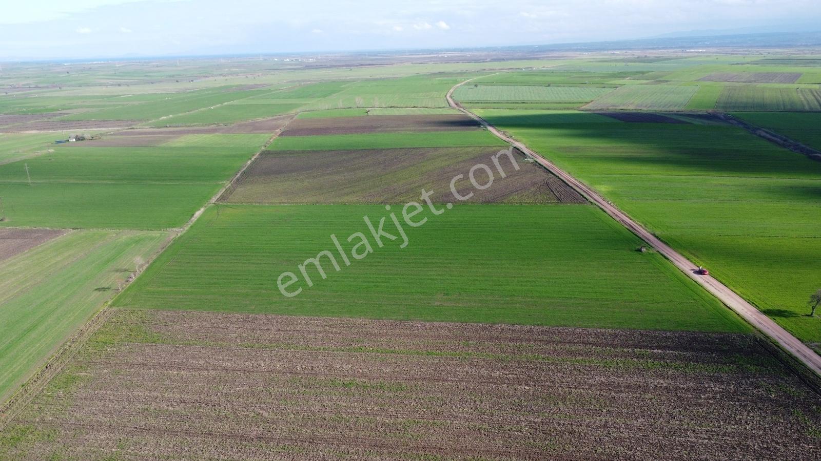 Çanakkale Biga Tokatkırı Köyü'nde Satılık Tarla - Görsel 18