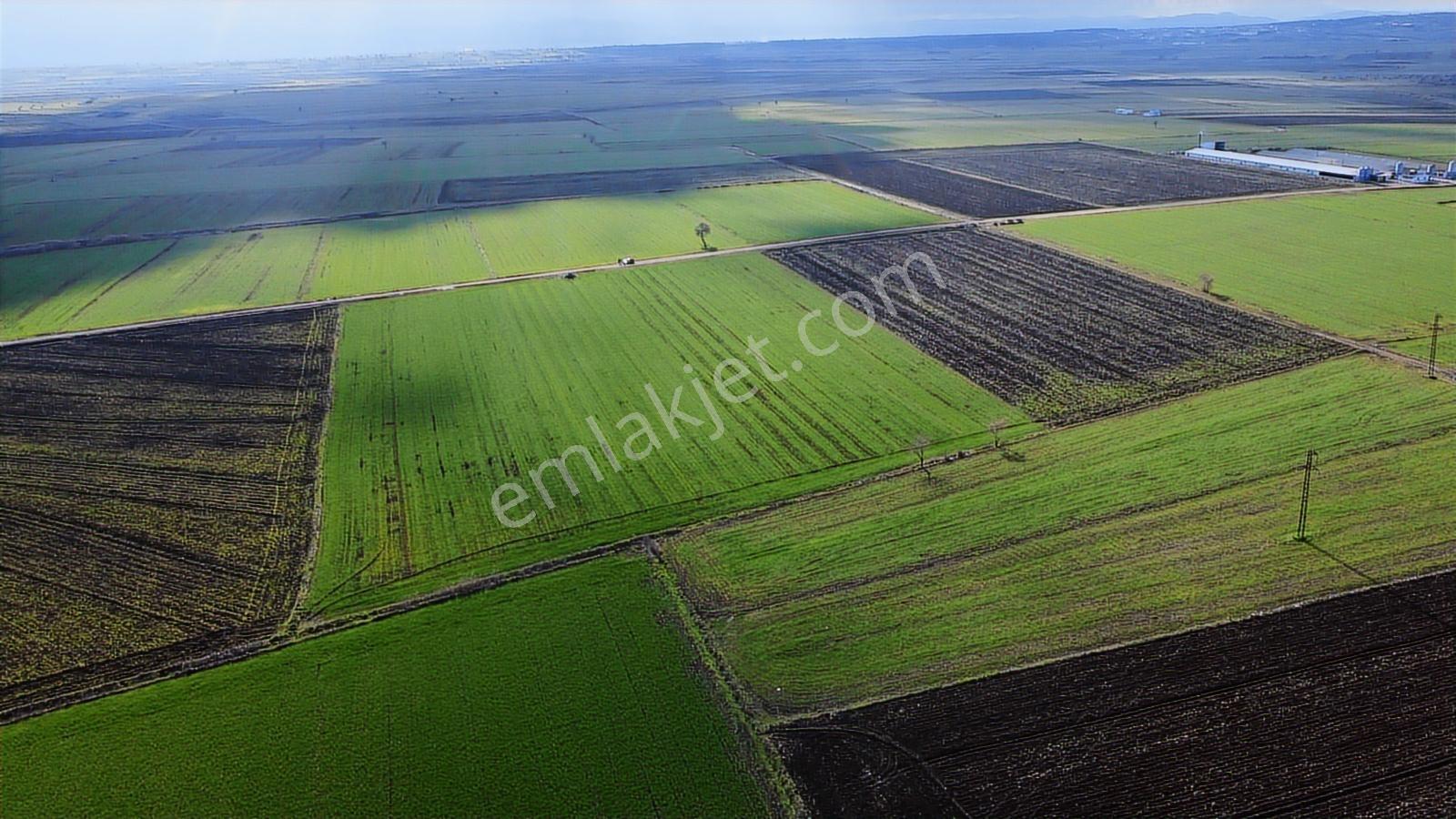 Çanakkale Biga Tokatkırı Köyü'nde Satılık Tarla - Görsel 17