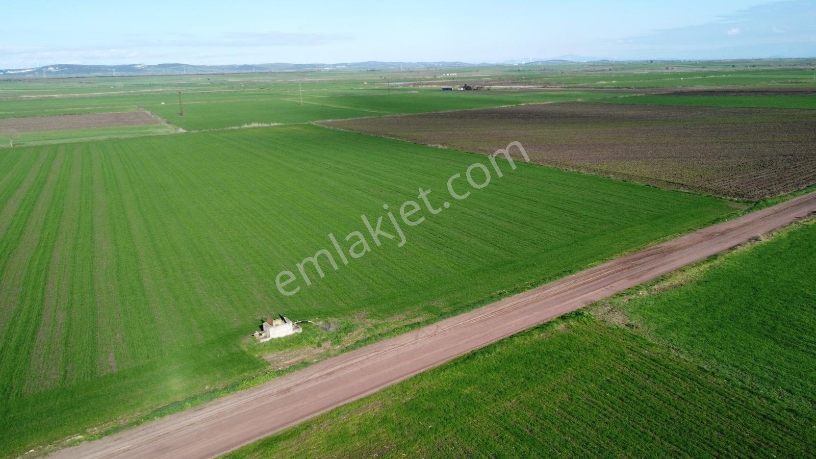 Çanakkale Biga Tokatkırı Köyü'nde Satılık Tarla - Görsel 5