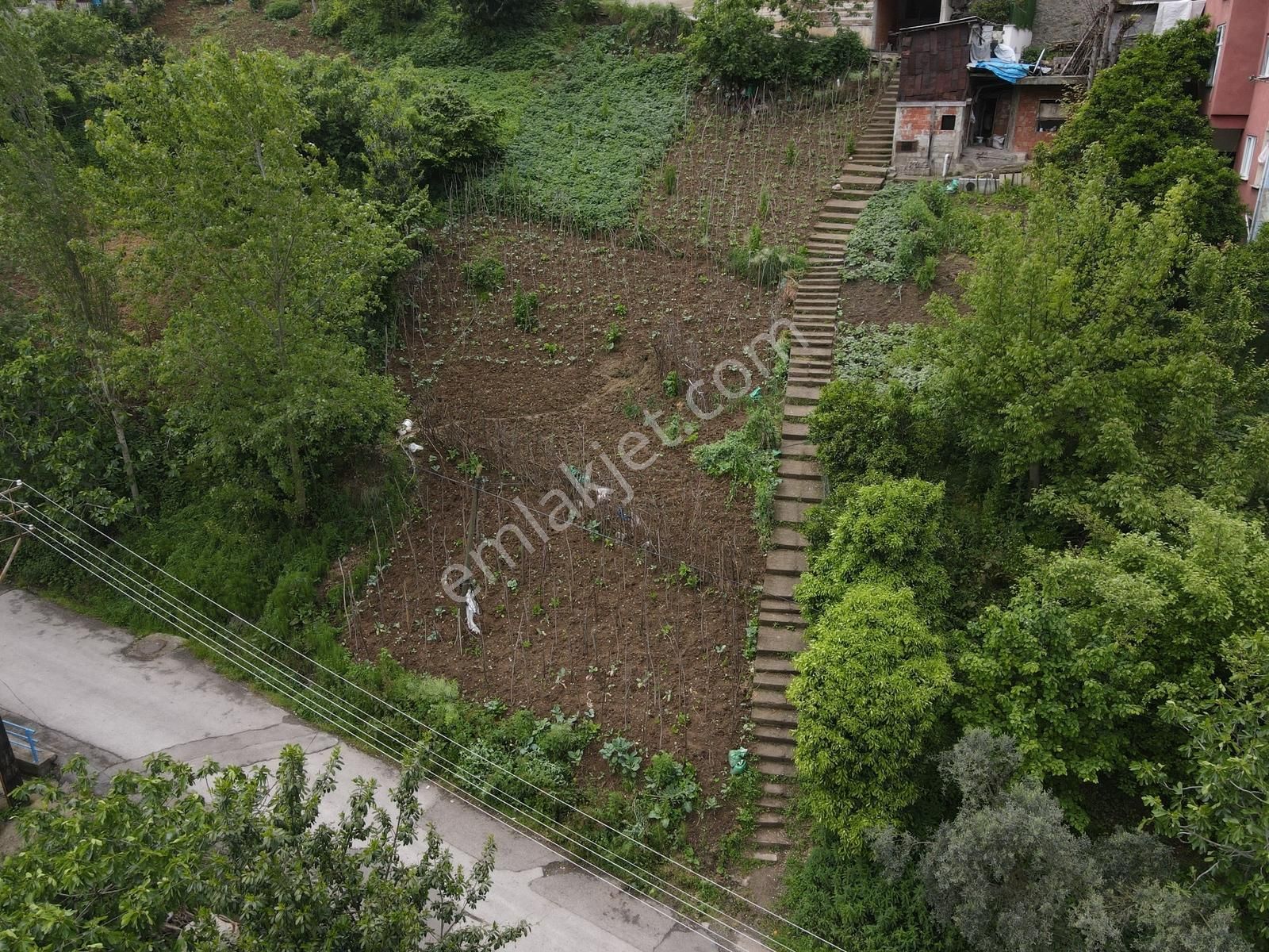 Doğu Gayrimenkulden 3 Nolu Erdoğduda Fırsat Arsa