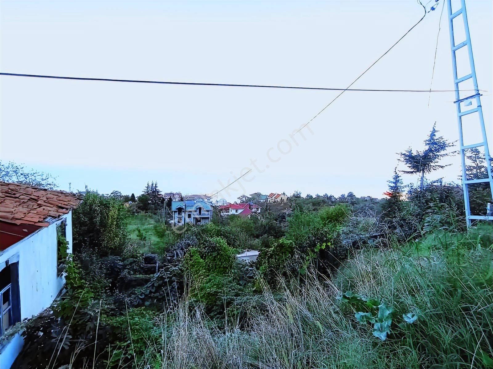 Doğu Gayrimenkulden Mersinde Yola Yakın 462m² Acil Satılık Arsa - Görsel 5