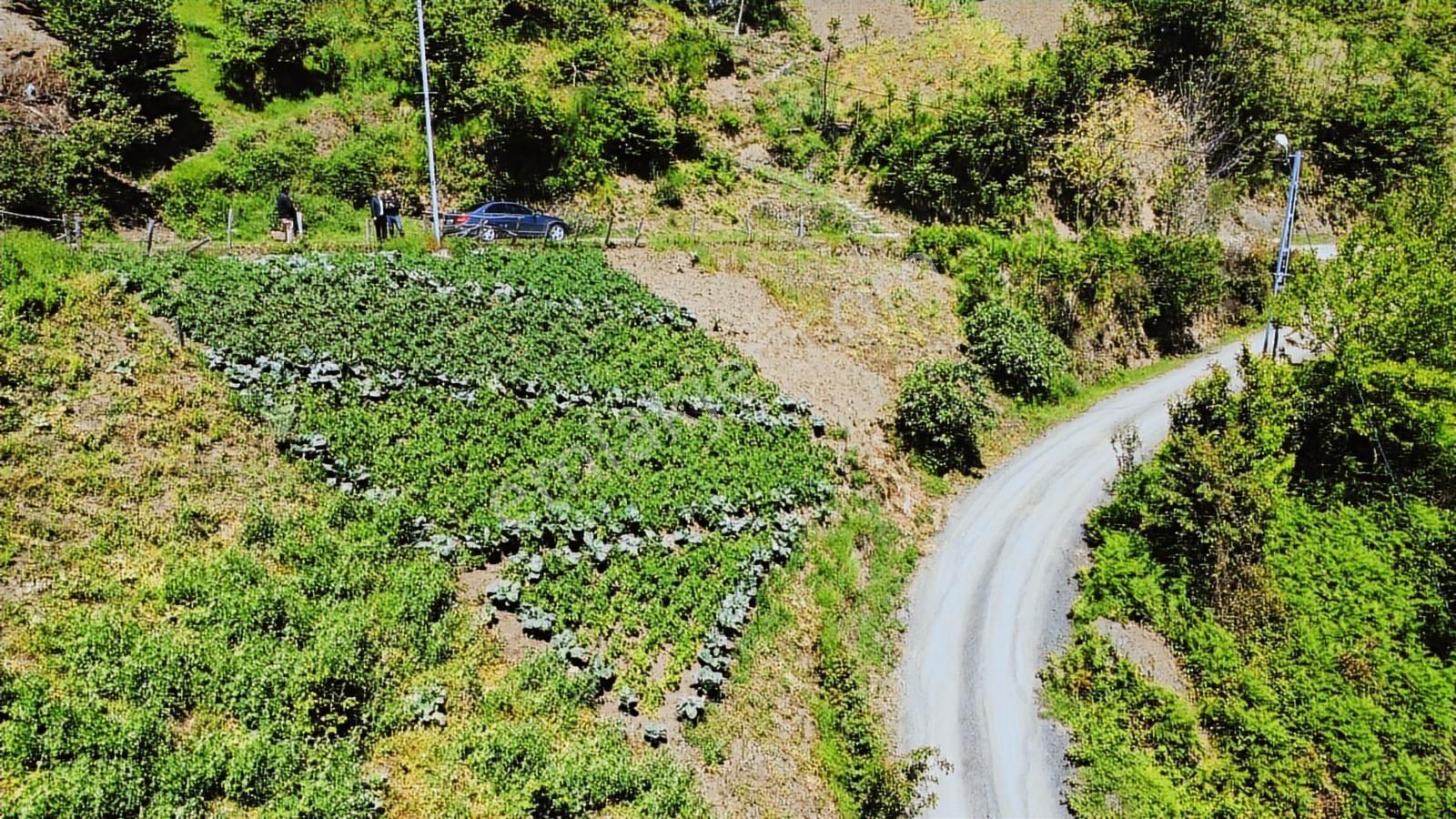 Son 10 Gün... Akçakalede Satılık Fırsat Arsa !!!