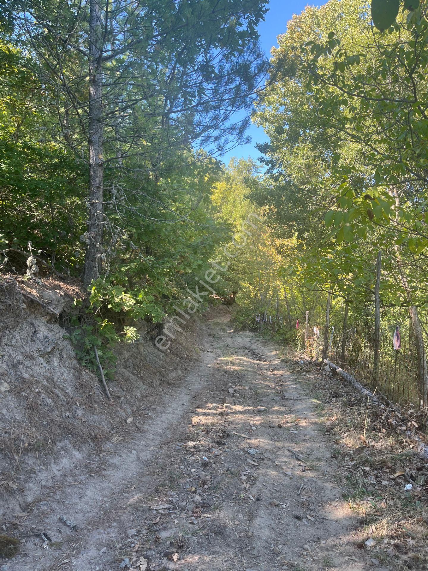 Bursa Keles Delice Köyü Satılık Arazi - Görsel 11