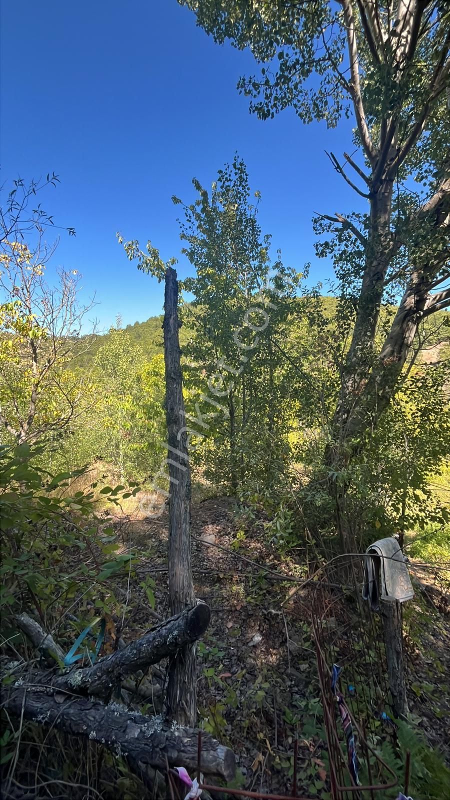 Bursa Keles Delice Köyü Satılık Arazi - Görsel 6