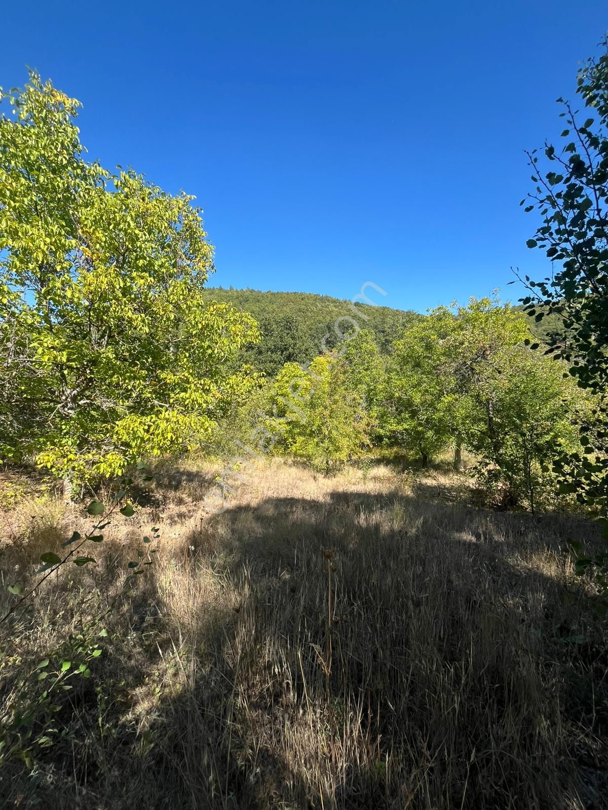 Bursa Keles Delice Köyü Satılık Arazi - Görsel 4