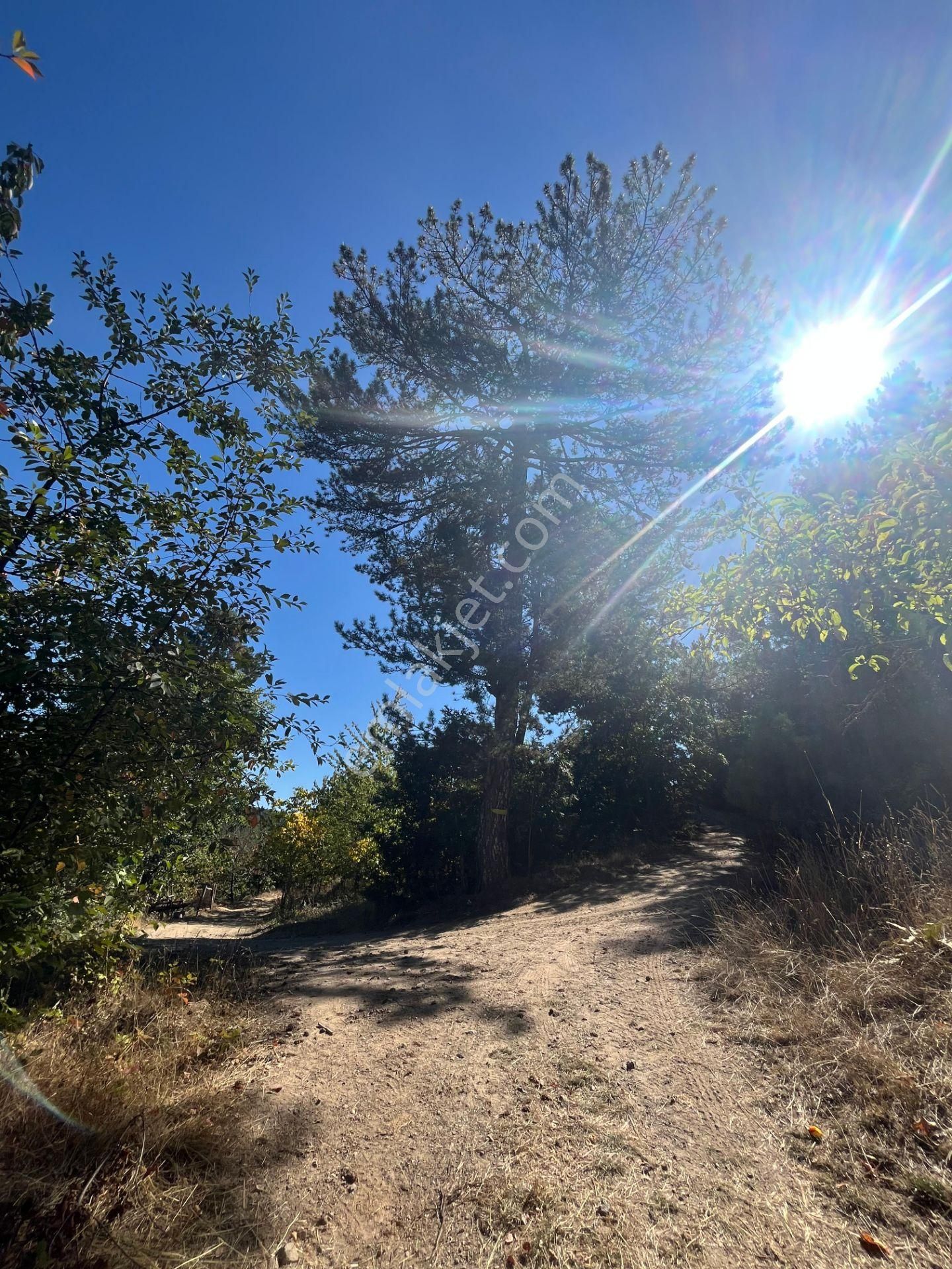 Bursa Keles Delice Köyü Satılık Arazi - Görsel 12