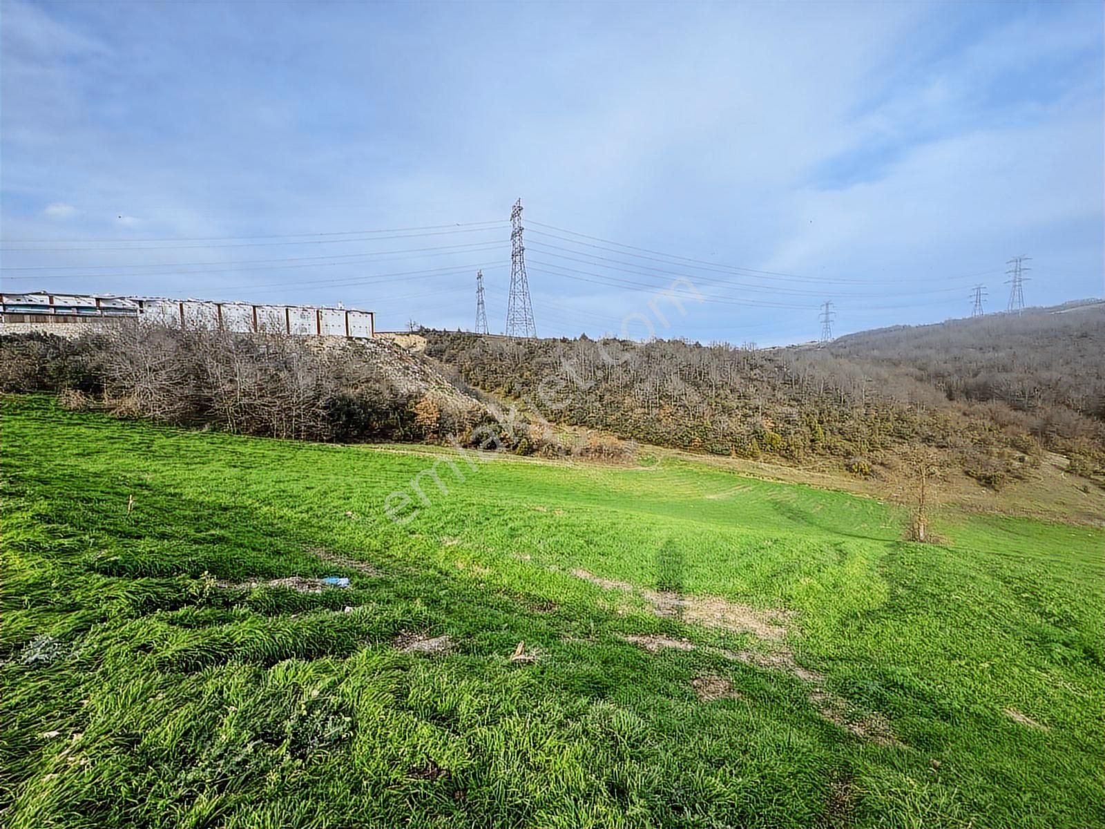 Derince Çavuşluda Resmi Yolu Olan 13.373 M² Tarla - Görsel 5