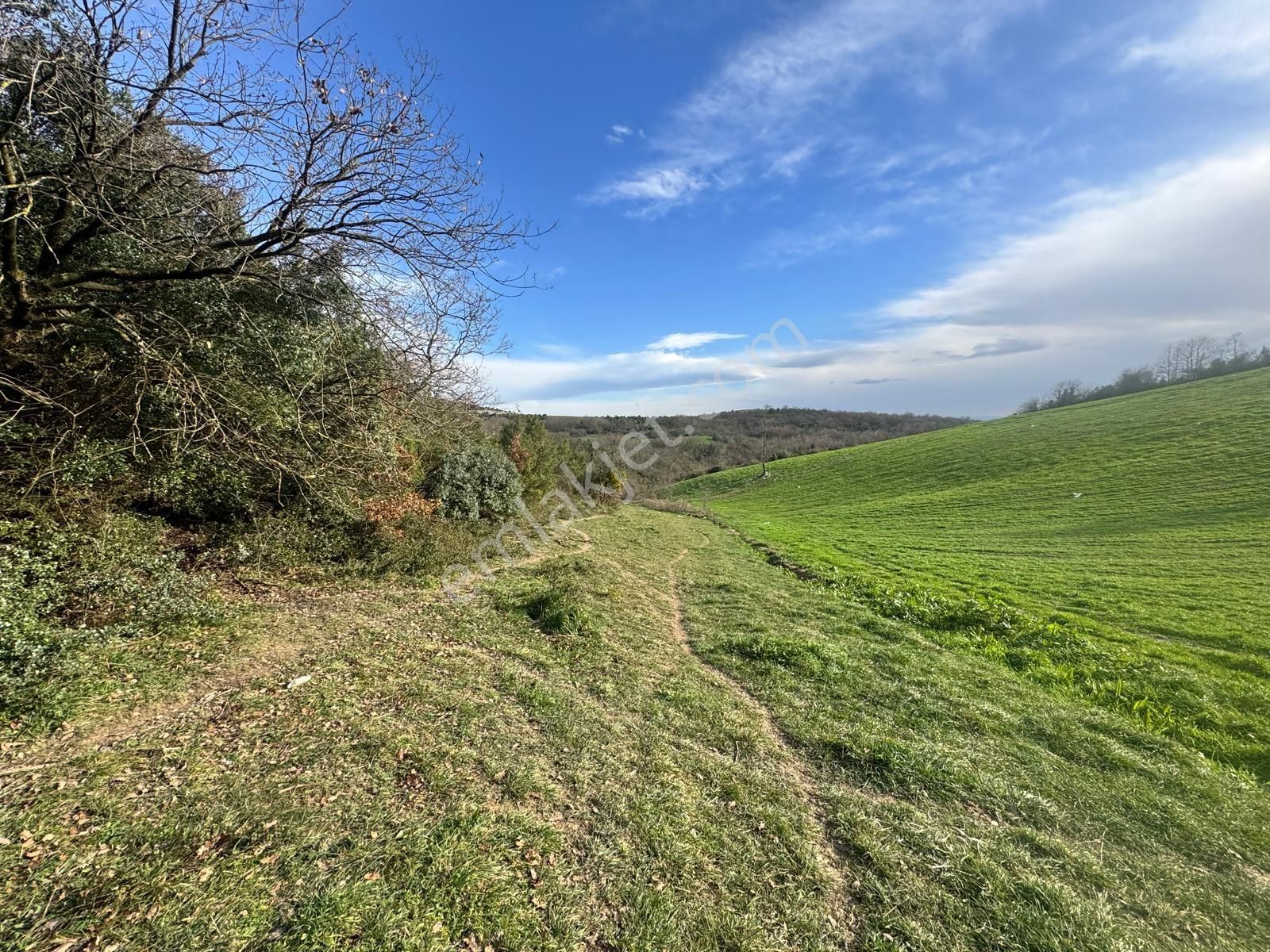 Derince Çavuşluda Resmi Yolu Olan 13.373 M² Tarla - Görsel 7