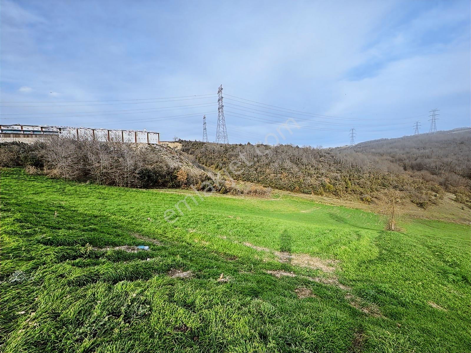 Derince Çavuşluda Resmi Yolu Olan 13.373 M² Tarla - Görsel 9