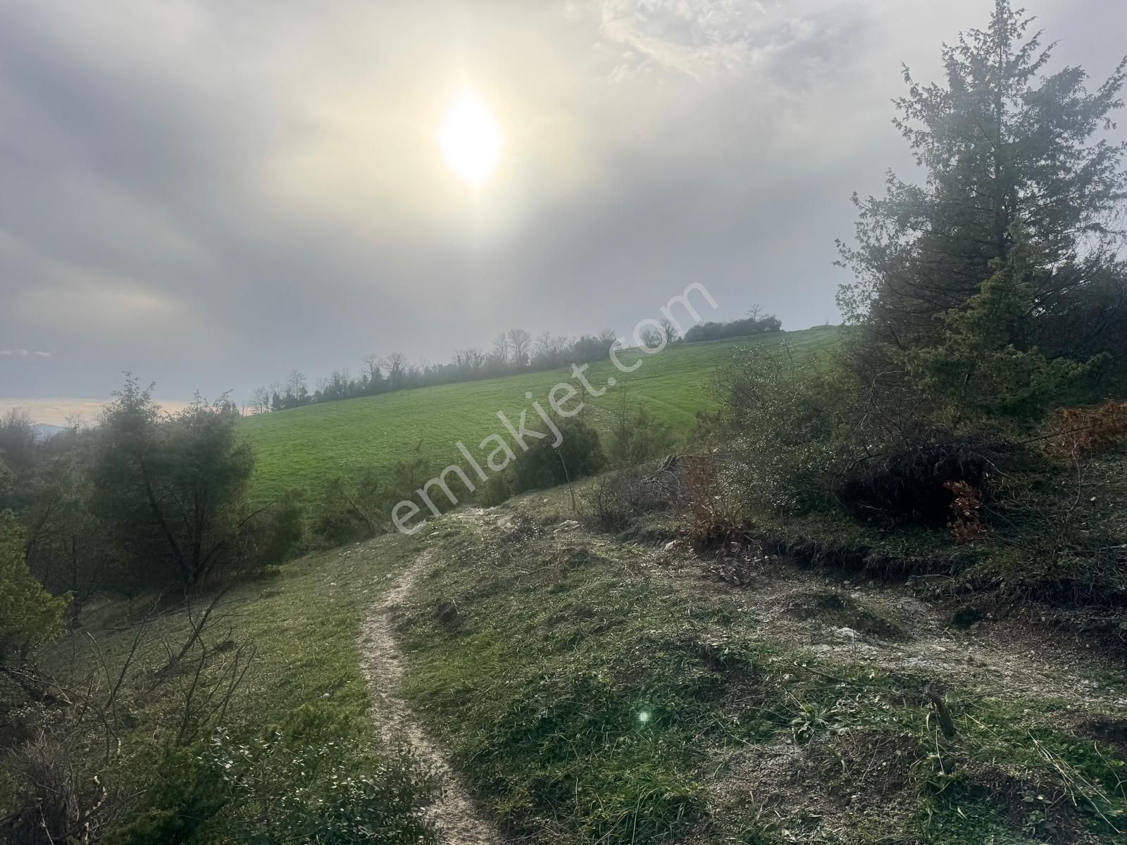 Derince Çavuşluda Resmi Yolu Olan 13.373 M² Tarla - Görsel 11